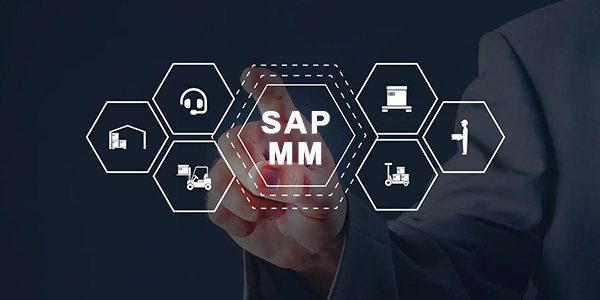 SAP MM